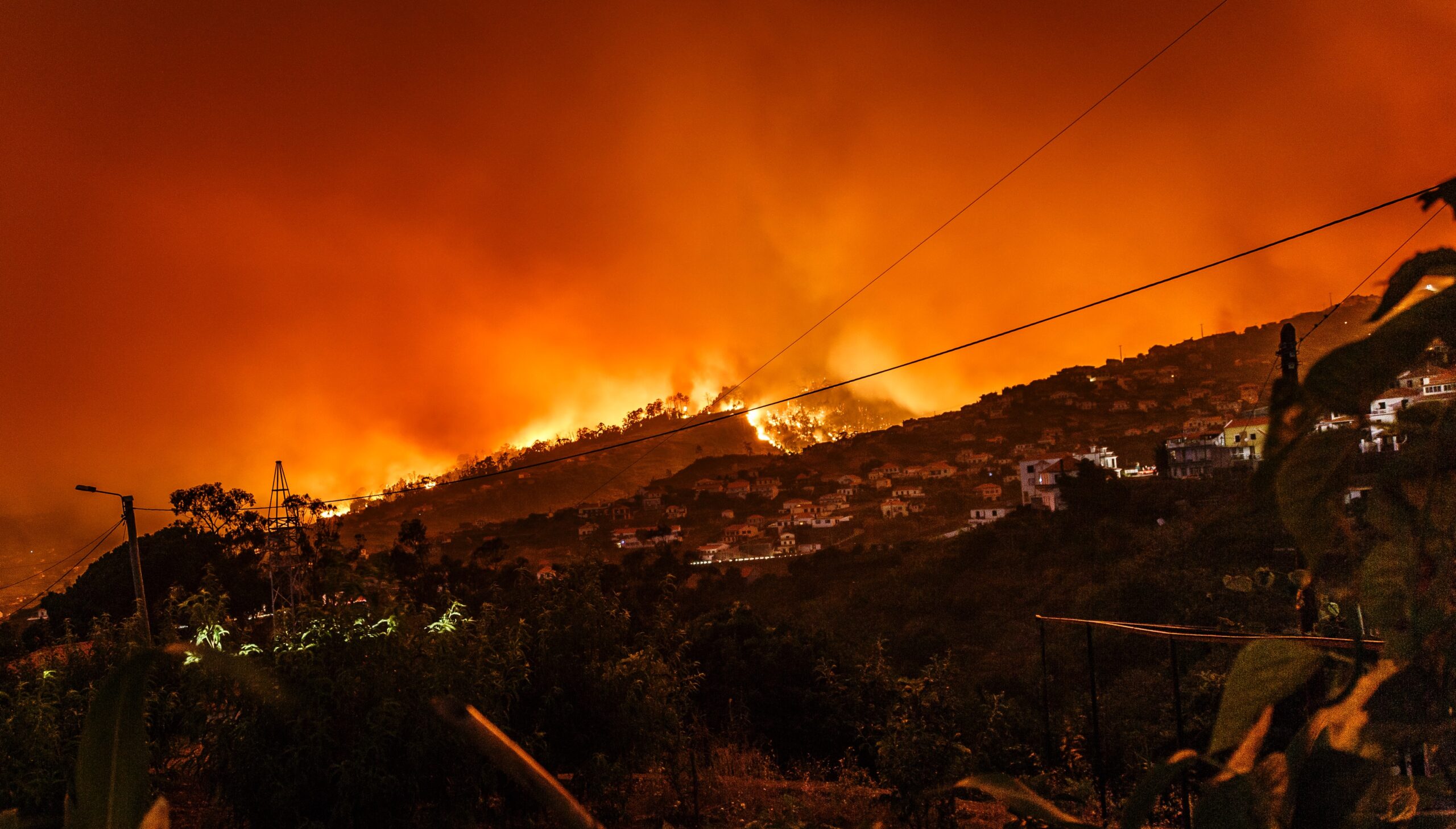 Washington DNR Utilizes AI-Powered Cameras to Detect Wildfires