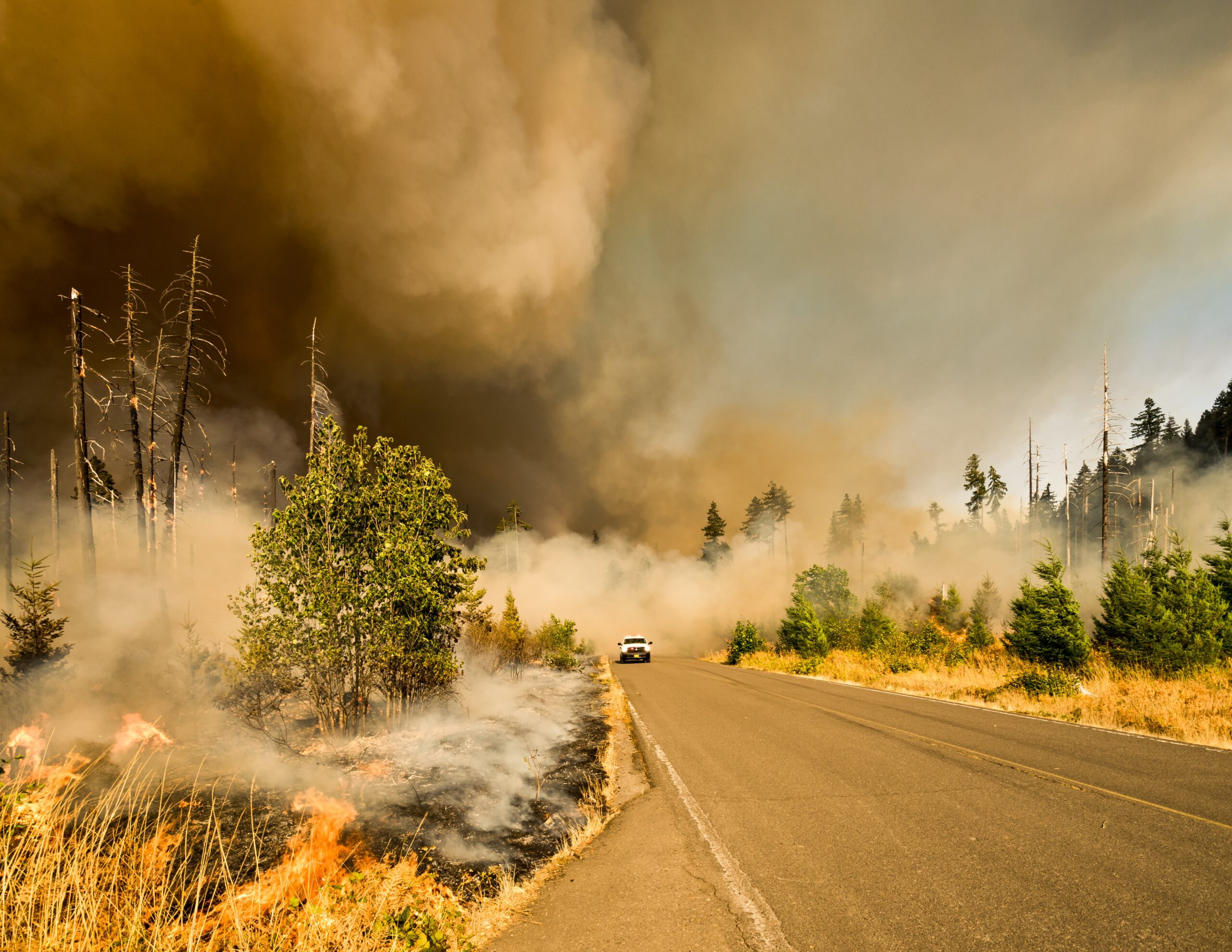 Fire Demonstration Shows Importance of Proper Precautions for Home Survivability